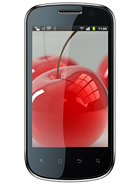 Best available price of Celkon A19 in Nicaragua