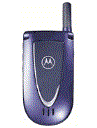Best available price of Motorola V66i in Nicaragua